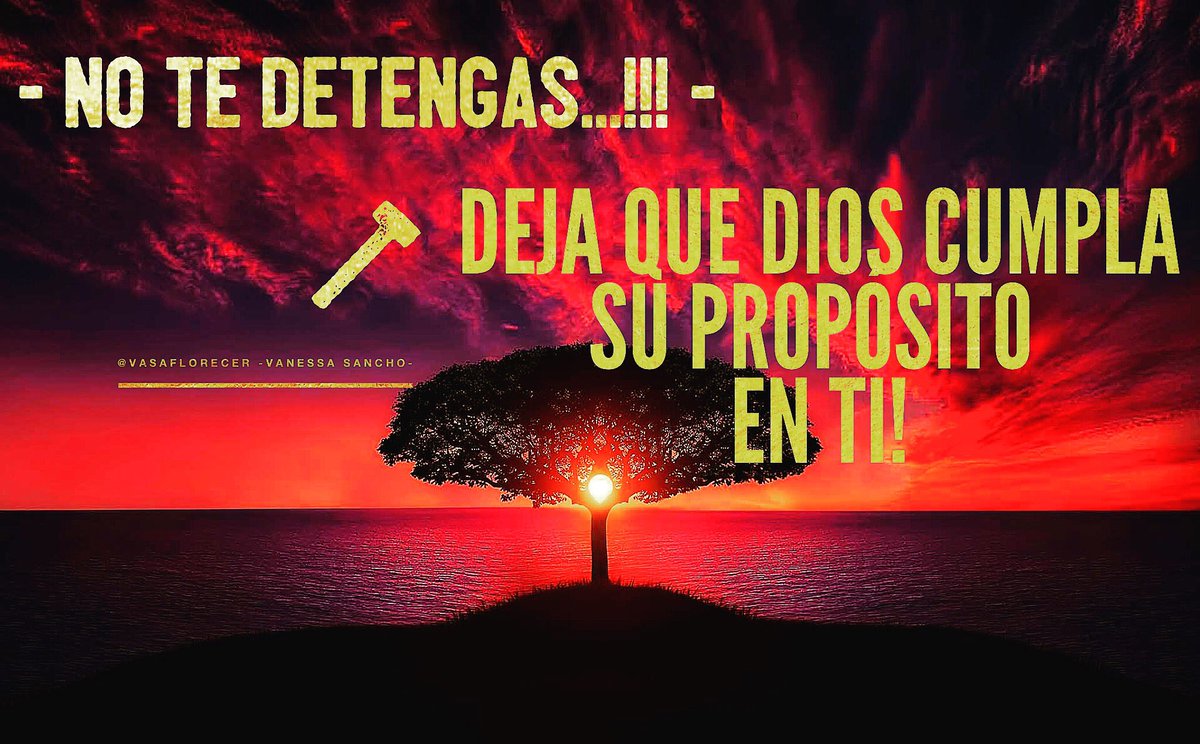 VasAFlorecer's tweet photo. Ten fe para creerle a Dios por aquello que aún no ves pero sabes que Él lo ha prometido! #vasaflorecer #promesa #fe #cielosabiertos #cumplimiento #yolecreoaDios https://t.co/fFVv0D5H9I