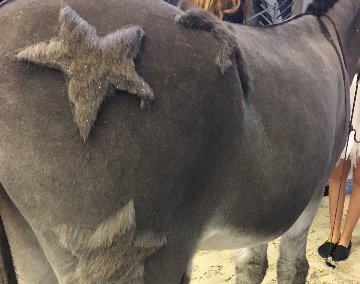 Salon Du Cheval De Paris On Twitter Le Concours Equi Star C Est