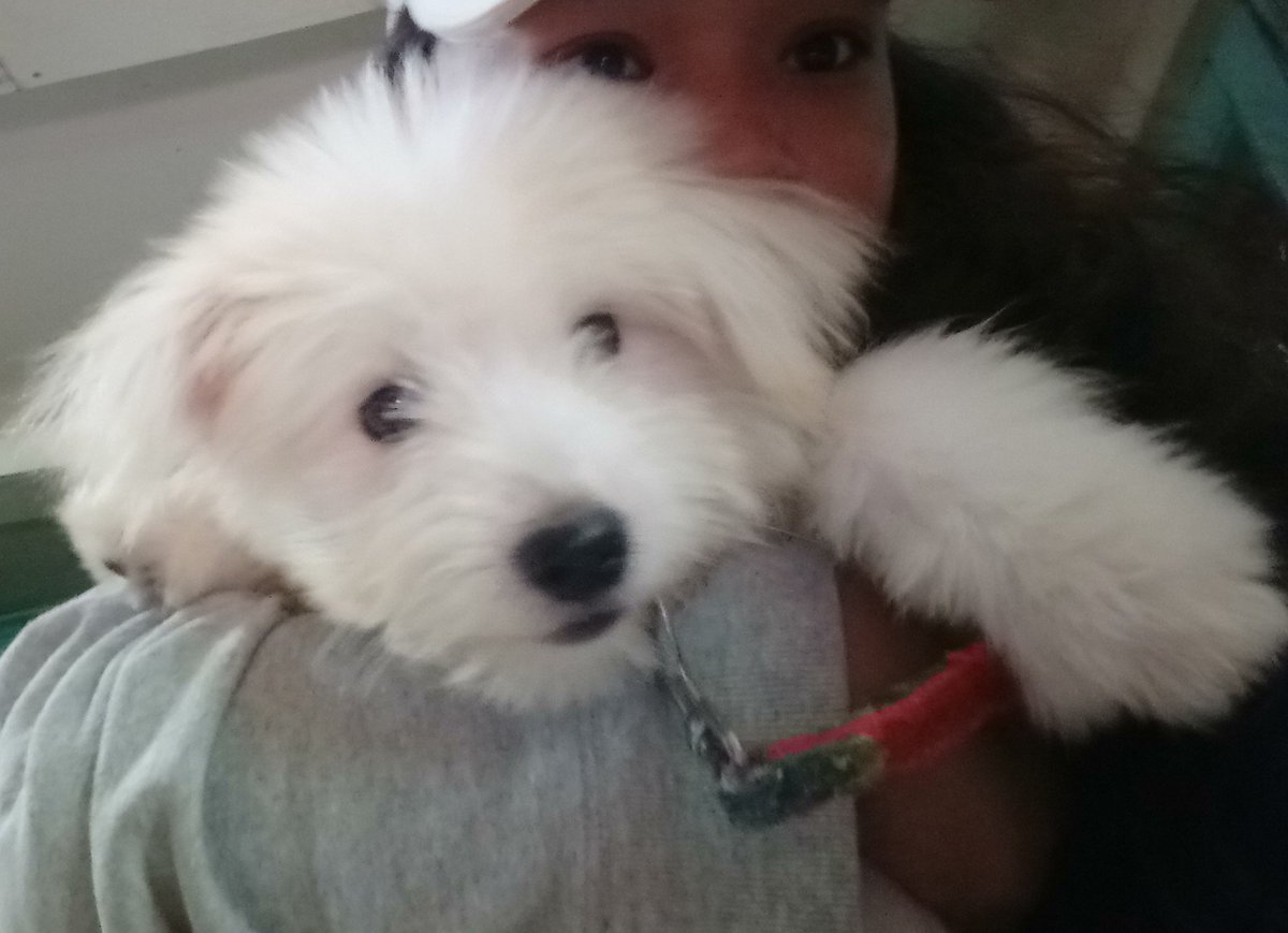 ItsShy7's tweet image. JAGI 😍