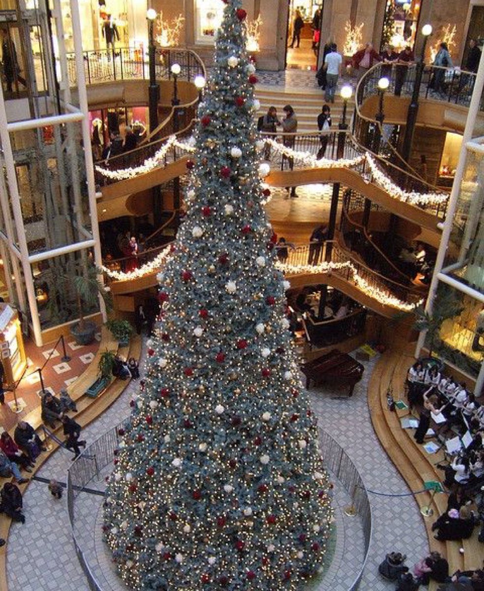 AlinaEnhance's tweet photo. WOW🌟 Beautiful Glasgow! Princes Square🎄⛄️ https://t.co/upxvf3pqtK