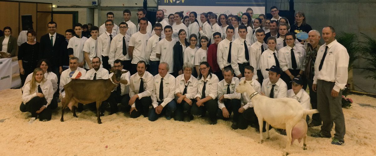 Caprinov's tweet photo. 👏🏼Bravo aux éleveurs et aux étudiants pour avoir fait le succès de ce salon #Caprinov2018🐐 https://t.co/0F3hlnmUXZ