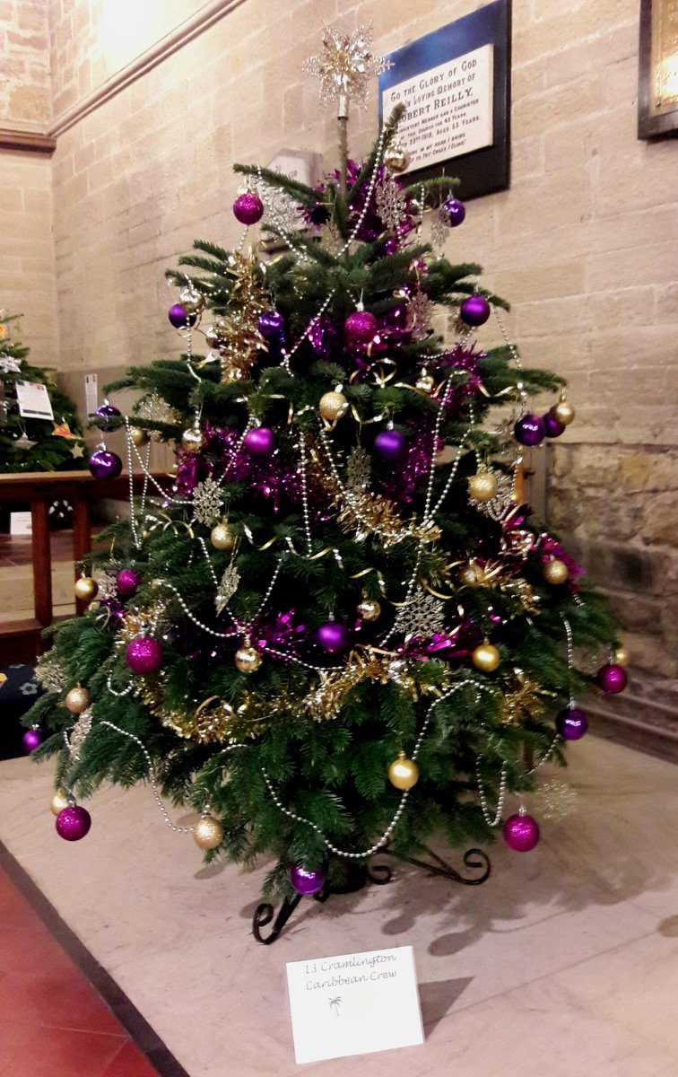 Caribbean Christmas🎶

#stnicholas
#cramlington
#treefestival
#steelpans