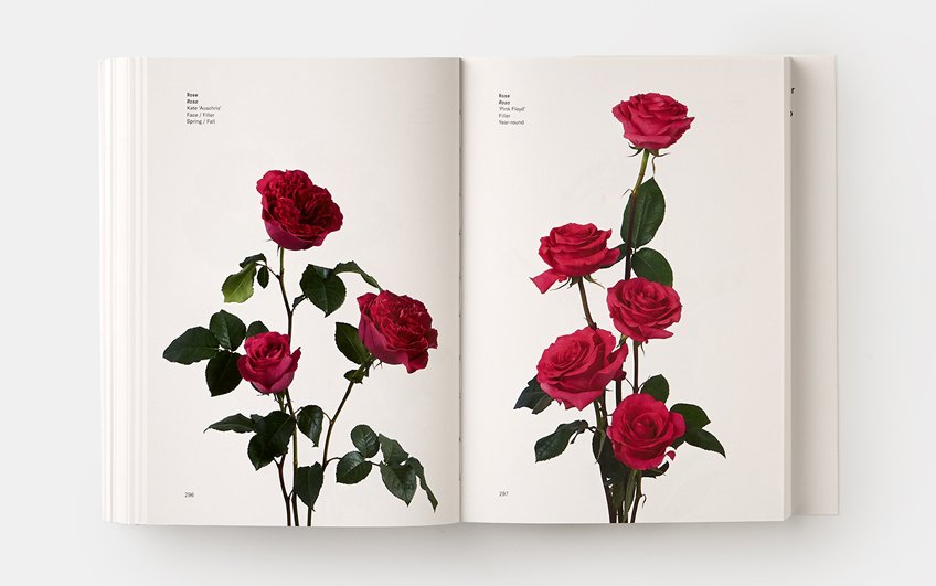 TEGmagazine's tweet photo. CALLING ALL ASPIRING FLORISTS!
Follow @theenglishgardenmagazine on Instagram, snap your gorgeous floral arrangements and tag #TEGmagazine for a chance to #win this gorgeous flower guide! π Winner announced December 4.
#competition #florists https://t.co/1wdpTxwEEA