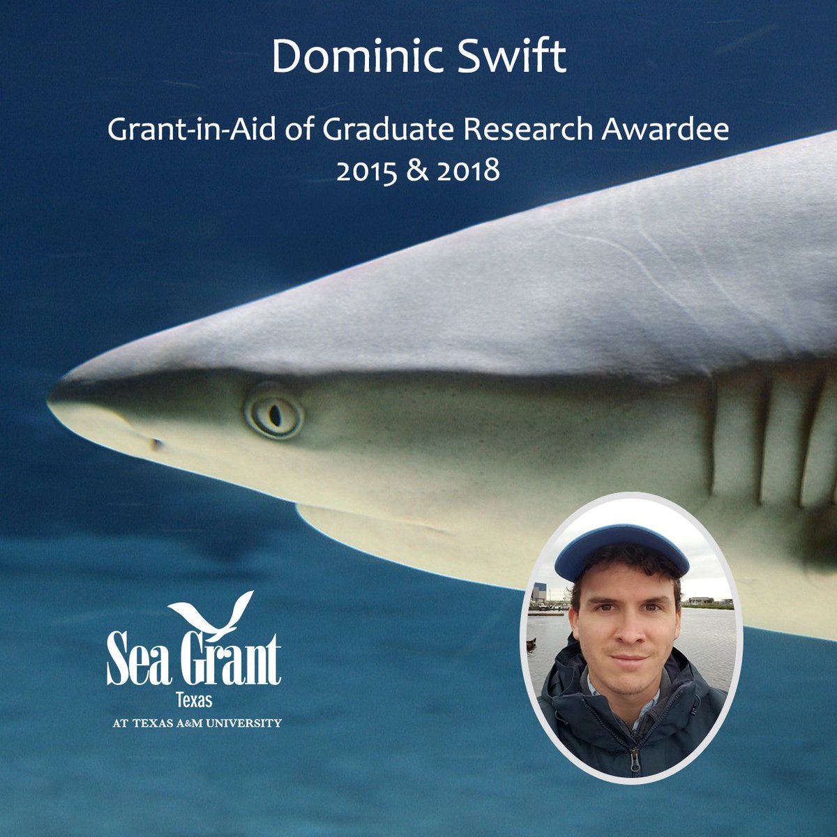 TXSeaGrant's tweet image. #GradStudentSpotlight.@DomSwift1 studies genetic🧬population structure of blacktip #sharks 🦈 in the Atlantic and Gulf of Mexico. Results suggest blacktips from these two areas are distinct, indicating limited movement ⛔️🔁 and resulting gene flow. #science #scicomm #research