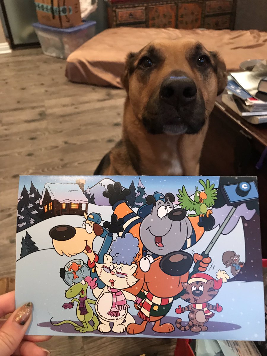adp7873's tweet photo. Lucca’s first Holisay card thanks @Chewy #chewy  #dogsofinstagram https://t.co/EG8RoB8RPK