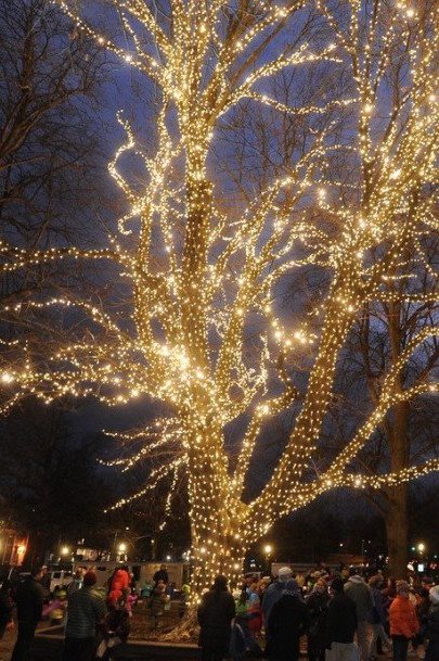 Join us tomorrow evening 3p-7p on the Amherst North Common for our favorite holiday tradition--the Merry Maple lighting. The tree will be lit at 5p while we listen to a beautiful performance by Amherst College's a cappella group DQ!