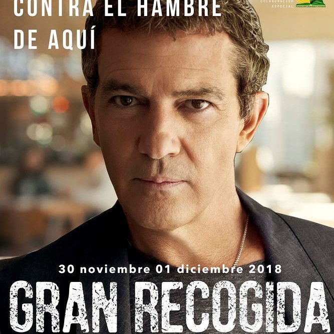 Mañana viernes y el sábado el voluntariado del INSTITUTO BÁLLOR colabora con el Banco de Alimentos de Sevilla en la GRAN RECOGIDA