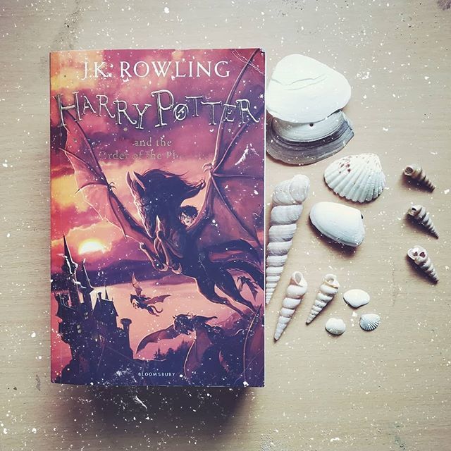 UrbanCaverblogs's tweet photo. Books🍁⚡ #bookstagramfeature #ilovebooks #bookstagrammer #bookstagram #bookaddict #currentlyreading #bookclub #amreading #shelfie #bookphotography #instabook #booknerd #readersofinstagram #bookaholic #instaread #bookgeek https://t.co/VvfU2qbjFa https://t.co/9FE09HJhAl