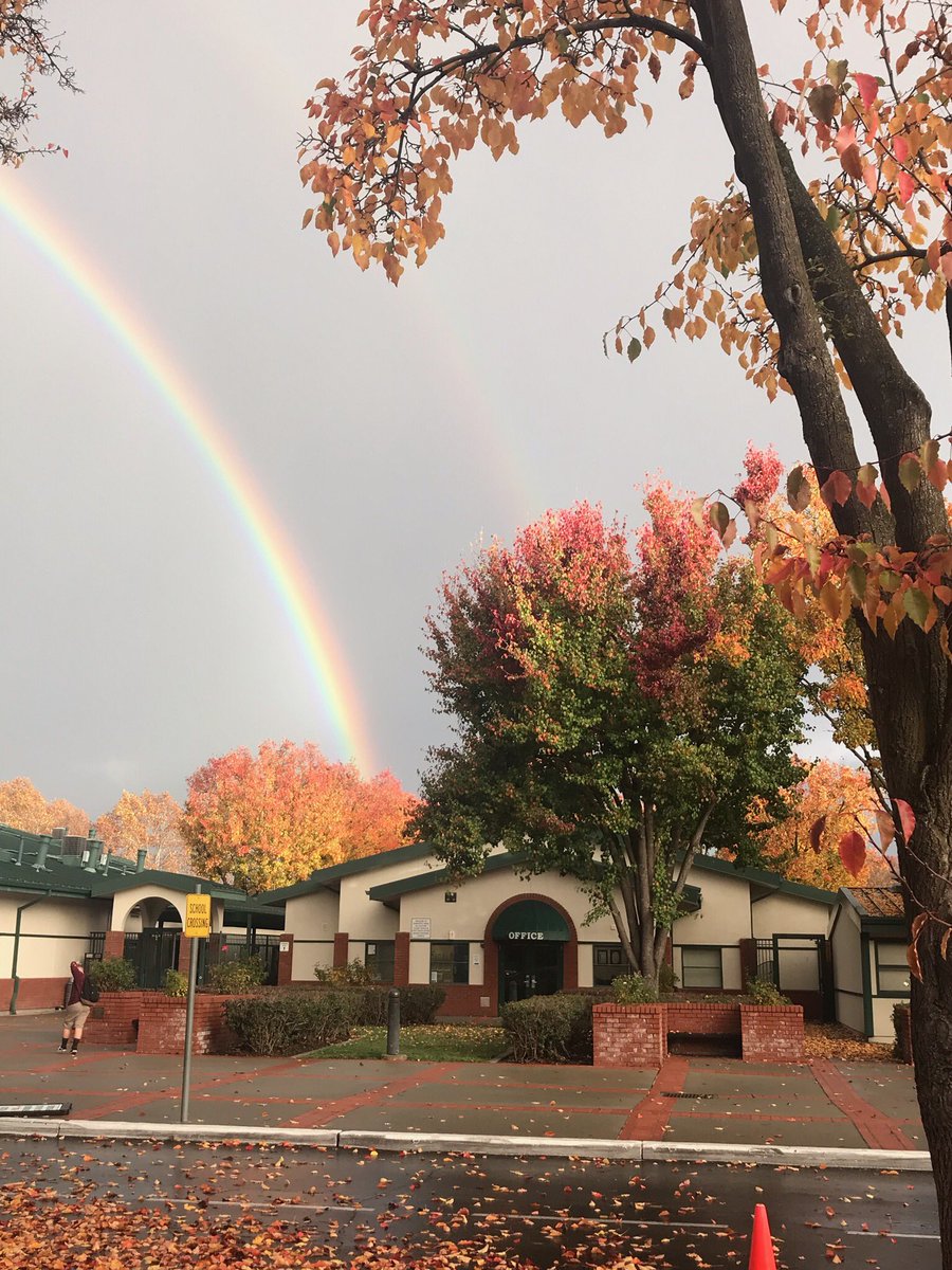 A beautiful morning here at Charlotte Wood!