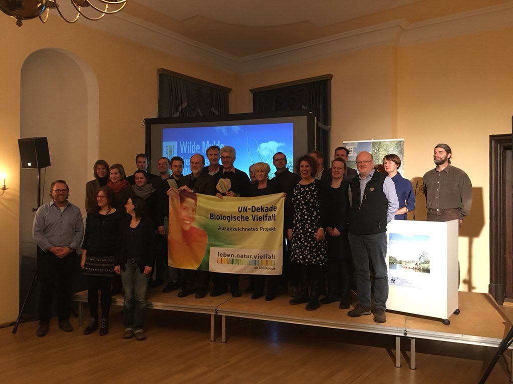 UFZ_de's tweet photo. Groรe Freude beim gesamten Team des Wilde Mulde-Projektes รผber die Auszeichnung zum UN-Dekade-Projekt @bfn_de @WWF_Deutschland @ufz_de https://t.co/jPVsF8tYcm