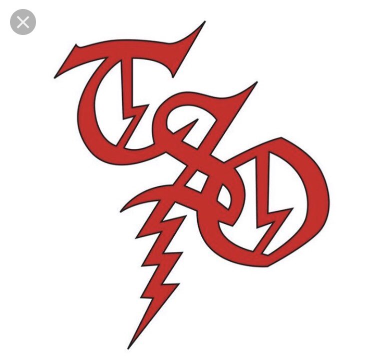 WSnakewoman's tweet image. Next stop for Joel &amp;amp; TSO is Rochester, NY at Blue Cross Arena tonight! #TSOtime #TSO20 ✌️🤘🎶🔥🎄🎸😎❄️#AwesomeShow