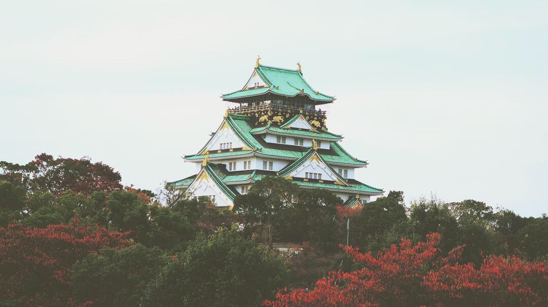 FainTzOG's tweet photo. Osaka Castle 🏰 

(📸 Instagram: trevorwk_) https://t.co/fe3jU8svJp
