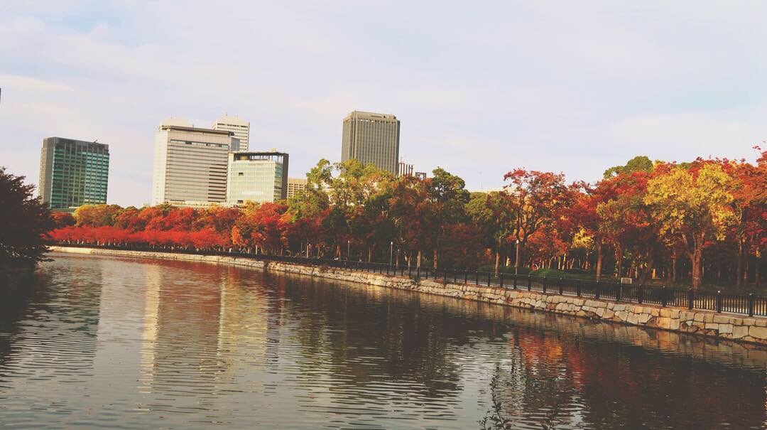 FainTzOG's tweet photo. Osaka Castle 🏰 

(📸 Instagram: trevorwk_) https://t.co/fe3jU8svJp