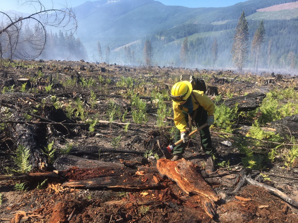 The Corps Network tweet media