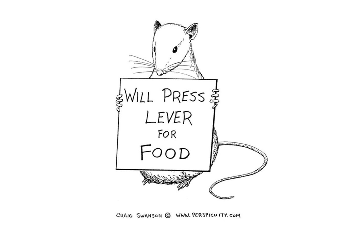 gamifiedtalks's tweet photo. #gt_behaviorism
Everyone knows the dog salivating at the sound of a bell, but have you also heard of this hardworking mouse, who has figured #behaviorism out? 
#zkm_gamifiedtalks https://t.co/bYtNTVyDjl