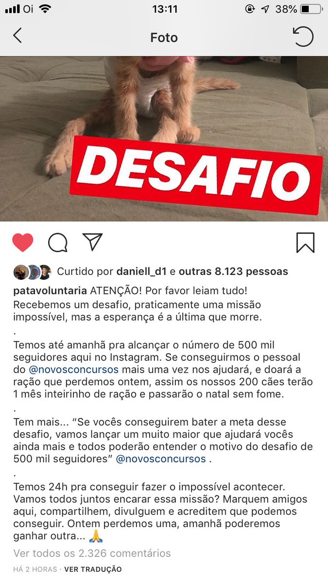 ikonicmxs's tweet photo. gente, o pata voluntária é uma ONG que resgata e ajuda animais de rua e eles estão precisando muito de ajuda para ganhar esse desafio de bater 500mil seguidores, é só entrar la e seguir eles no insta, quem puder da RT pra divulgar!!! https://t.co/tsCcNc1bgM https://t.co/5Jvn7vULCD