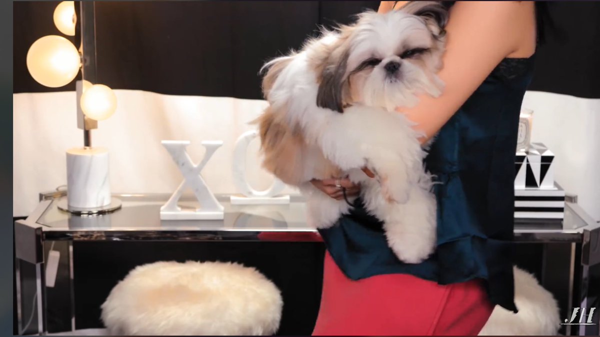 Dri_Giron's tweet photo. Anytime @Jaclynhill has her fur nuggets on her snap or videos, I’m immediately happy. Sadness? Who is she? I’m looking at fur angels right now, plz go away. https://t.co/7H8ZsLbqik