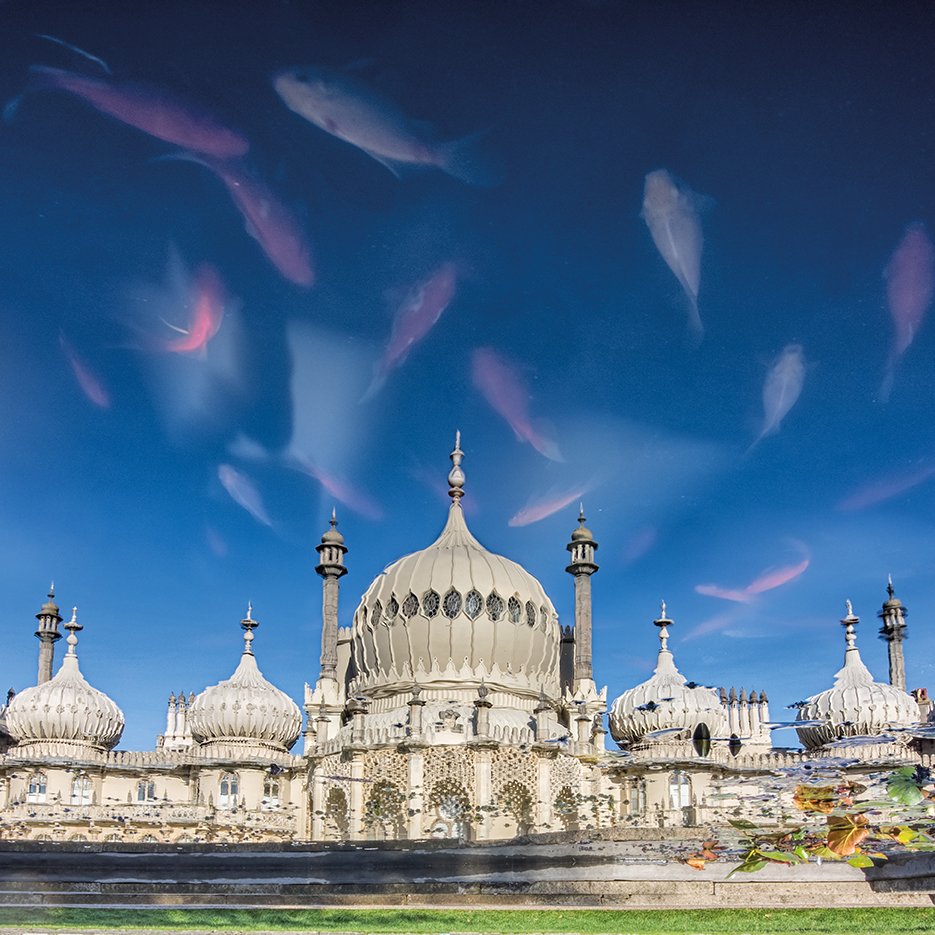 BrightonHoveCal's tweet photo. @Andy.Gardner.Photography takes the shot that made it in as our May top image of the 2019 calendar. Yes - there are goldfish in the Pavilion pond!
Thanks for the image use Andy. Fantastic. :)

#brightonandhovecalendar #brightoncalendar #brighton  #pavilion #royalpavilion https://t.co/Was8en4CZK