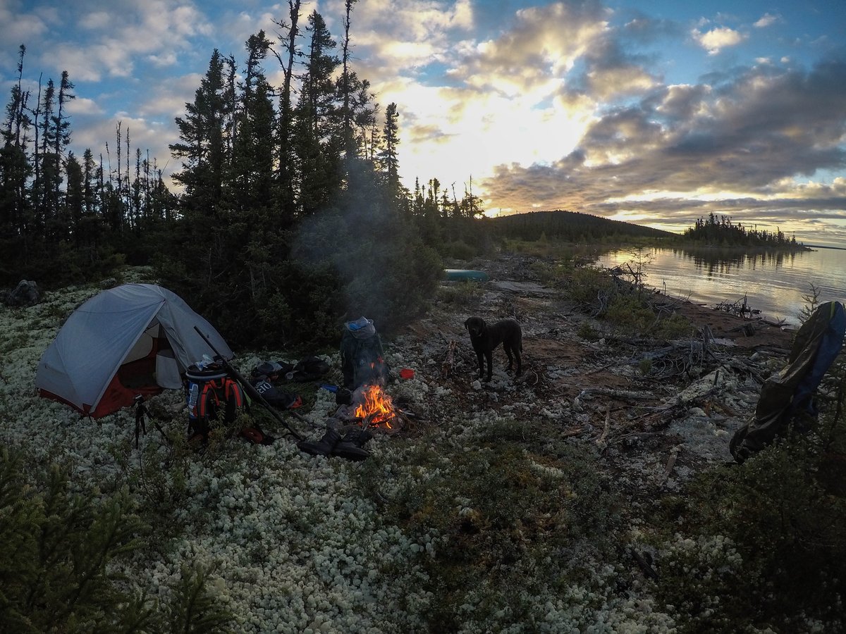 NLExplorer88's tweet photo. Livin' on Smallwood Reservoir.
#nlexplorer #saku #acrosslabpeninsula #thebigland #newfoundlandandlabrador #getoutside #beauty #laketrout #canoes #campfires #tetlytea
@RCGS_SGRC @mec
@NLtweets https://t.co/bWXI7DsmPO
