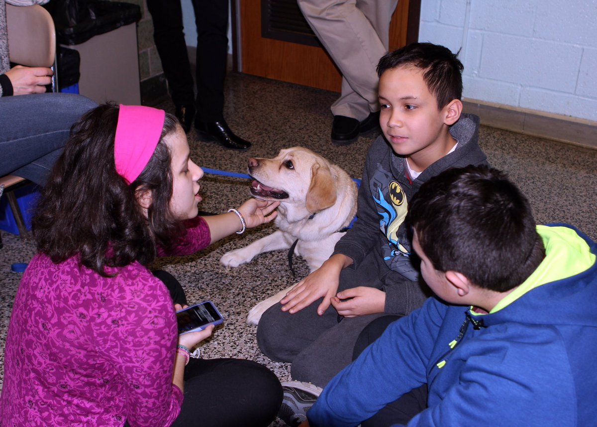 FoundationsSMS's tweet photo. We had a visitor!!  Maisie the Therapy Dog stopped by to say Hi to everyone!  So much fun!

Animals really convey a sense of calm and joyful feelings for the students.  #EmotionalIntelligence #YaleEI #SuffernMiddleSchool https://t.co/iCKS8NTpCq