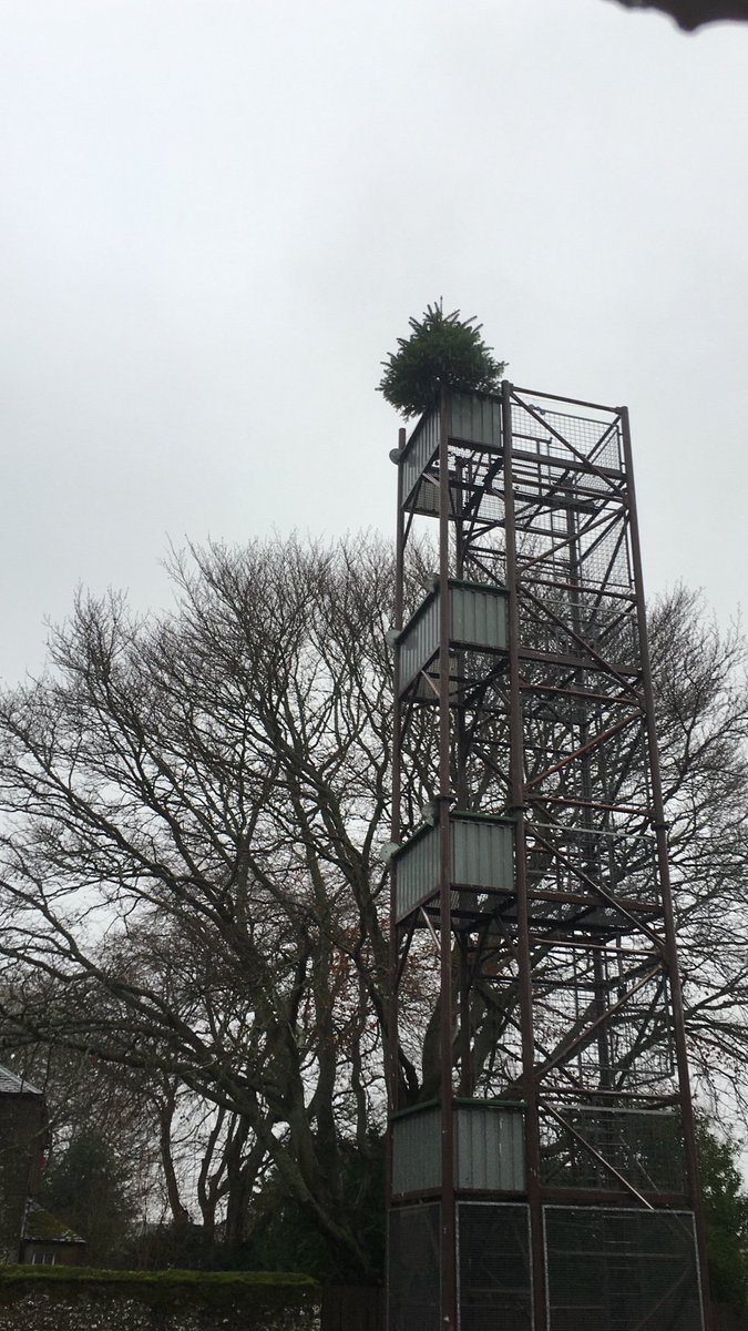 FireLinton's tweet photo. West Linton Xmas lights switch on tonight. What can J33P6 crew contribute? The highest tree in the village and a video show projected on the station. Lots of thankful parents that we were open. https://t.co/Sm2V7ZhWpz