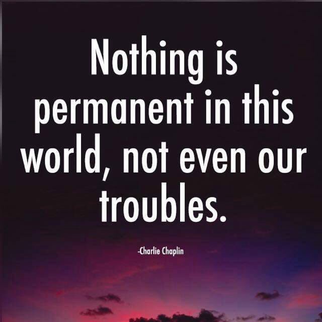 carolelarson tweet media