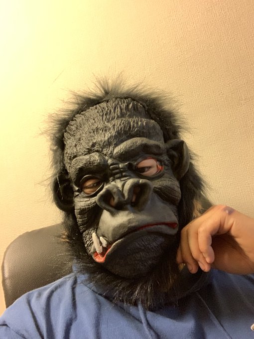 ゴリラ 高画質 のtwitterイラスト検索結果