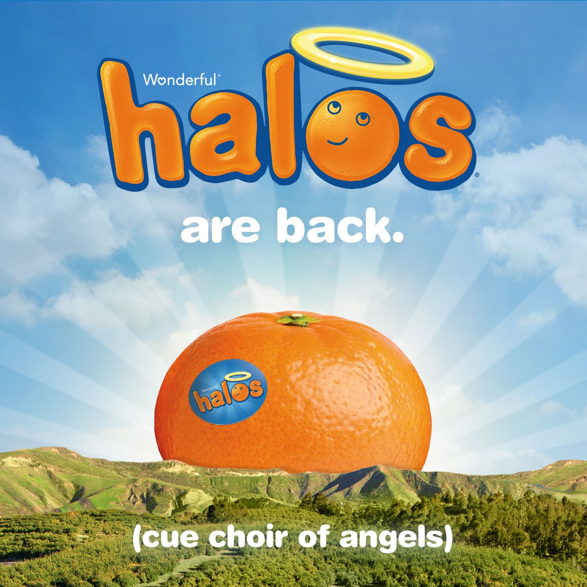 HalosFun's tweet photo. Sweet, seedless, easy-to-peel and back in stores now! #GoodChoiceKid https://t.co/80yKh2xWB7