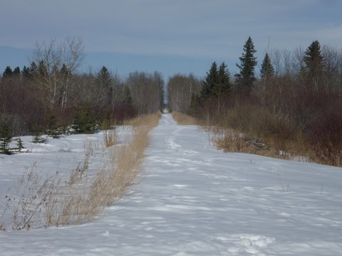 Food_Man's tweet photo. If you are a #Sledder <then do not look any further for a Sled > https://t.co/yzwUWSpJzO -- Priced to Sell and comes with many extra __ Never Stored outside - Call today https://t.co/KkXpGk0hBe
