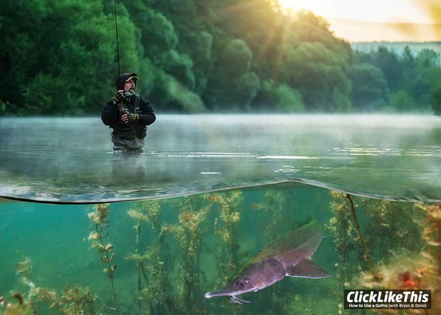 31 Stunning Half Underwater Photos (6 GoPro Tips for Dome Ports)
buff.ly/2EdqOVL
#Underwater #UnderwaterPhoto #UWphoto #UW #UnderwaterPhotography #UWphotography #underwaterphotographer