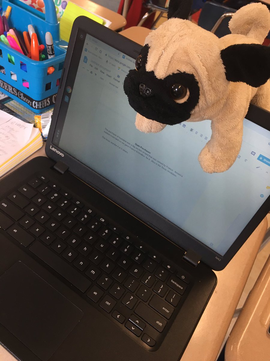 our little pets helped us stay focused today! 🐶