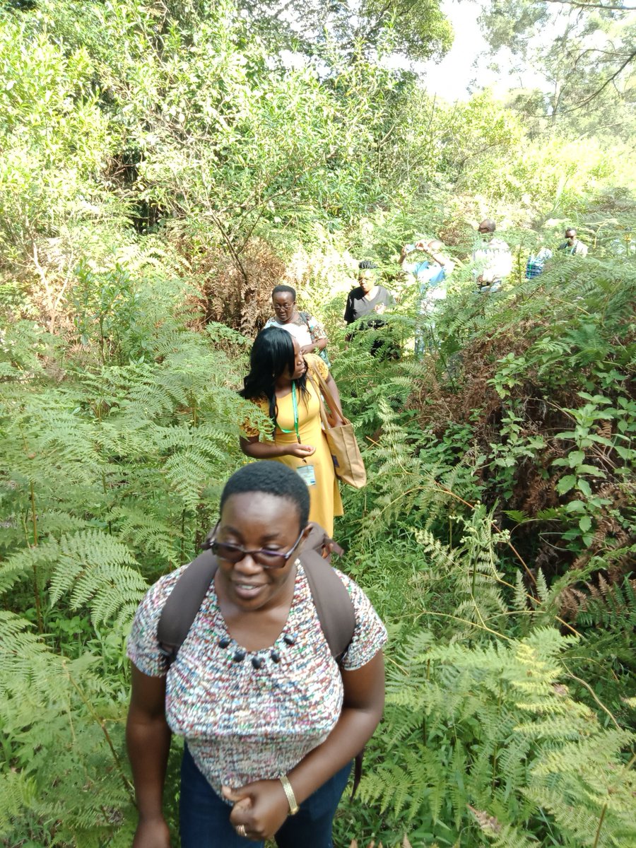 John M. Wesonga (@john_wesonga) on Twitter photo 