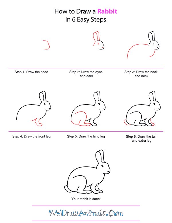 pictofigo's tweet photo. How To Draw A Rabbit in 6 Easy Steps
#FreeHand #FreeHandDrawings #DrawingTips #FreeHandDrawings https://t.co/gBhM8pJ7tm