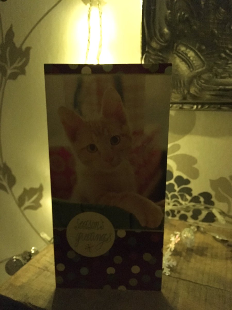 heathermateer's tweet photo. Shout out to my first Christmas card of 2018 @kimi8 & overcoming the Canada 🇨🇦 Post strike ! #itsnotevendecember #ChristmasChallenge18 #cards #postwarrior https://t.co/cXtGySA6Ok