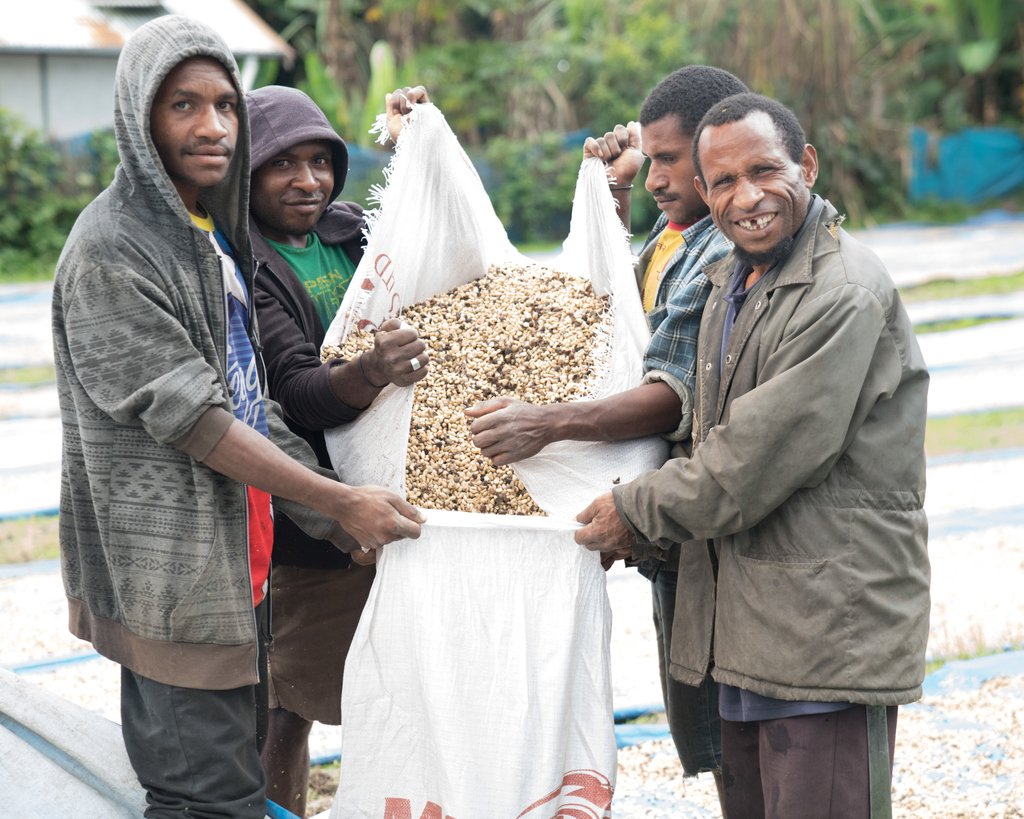 labodegacoffee's tweet photo. We love the sweet-tangy flavors of coffees from Papua New Guinea's Waghi Valley, including the lot we have in store from Ulya (B12300). Dig that smooth mouthfeel, tropical fruit, toffee sweetness and the zippy acidity of apple. https://t.co/veKCacRcfg
