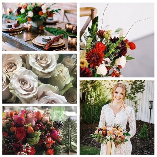 StevensandSon's tweet photo. #Repost  @somethingstyledco @aprilsgardenweddings @mtflowers @ambermustain_floraldesign💛

#stevensandson #stevensandsonwholesaleflorist #Florist  #flower #flowers #sharethelove #inspiredbyflowers #freshflowers #flowerarrangements #tbt #throwbackthursday #colorado https://t.co/K89ImI20UH