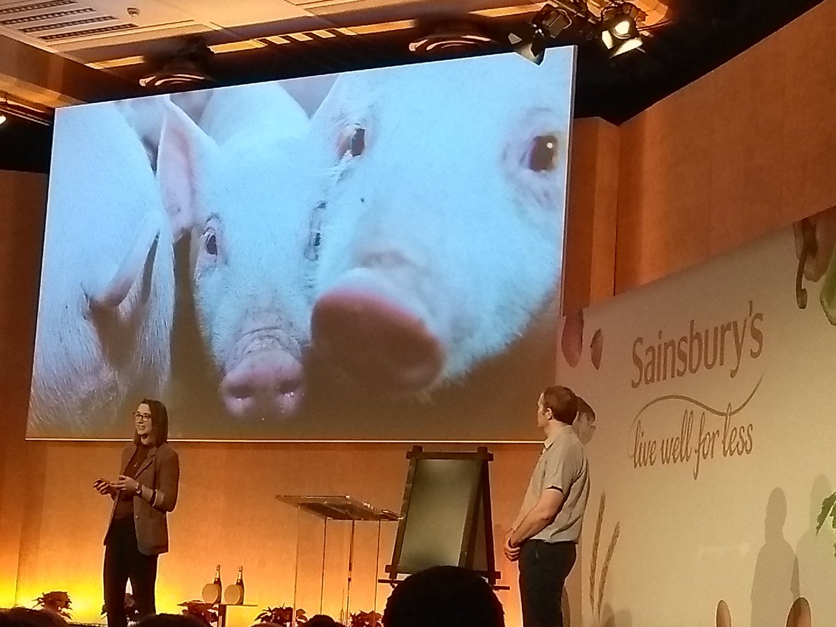 M_att_Turner's tweet photo. #JSFC18 Great presentation yesterday by @jenkins_cerys from @sainsburys and Rick D'Eath from @SRUC talking about using 3D camera technology to predict and prevent tail biting in pigs #tailtech #innovateUK https://t.co/4hMfrAKuhG