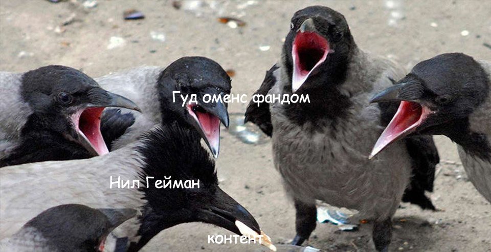 ворона смеется. вороны смеются. вася ворон. ворон кричит. ворон карлуша.