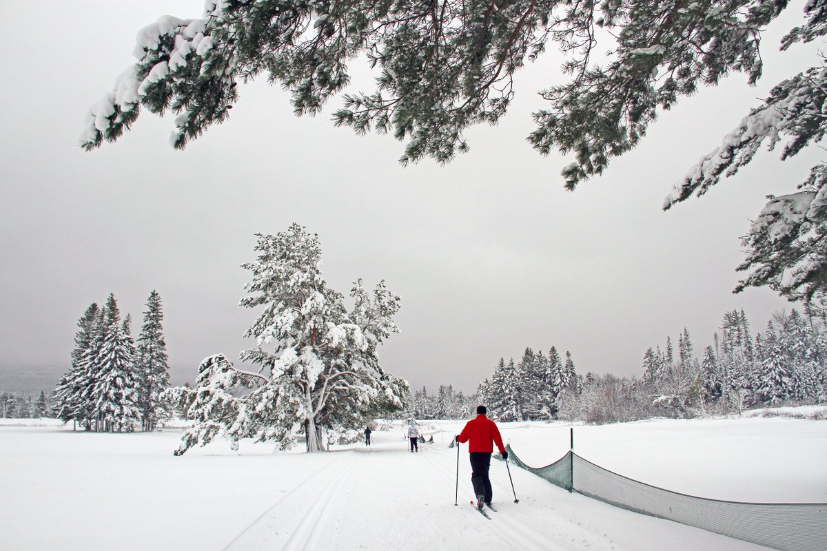 bretton_woods's tweet photo. Our Nordic trails are 100% open and the snowy scenery is incredible! https://t.co/hyWBhJS0K0 #dayatthewoods https://t.co/0VgumACPsr