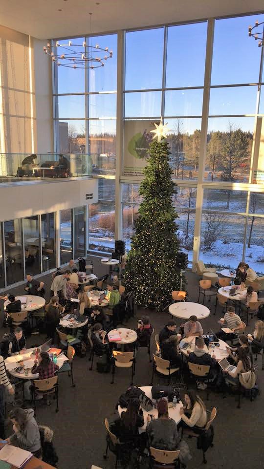HWKCommons's tweet photo. We apologize for any disruption while we put up our Christmas tree (2016 version shown below). If your group needs a work space, the Library Service Desk staff will be happy to help! https://t.co/qELjc3CJGp