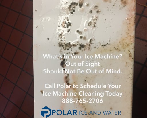 polaricewater's tweet image. Slime in the ice machine is a real concern and will happen if you are not  maintaining your #IceMachine

#DirtyIce #PinkSlime #PreventativeMaintenance #CleanIce #IceIsFood #ShermanTX #DenisonTX #Texoma #GraysonCounty #Oklahoma #RestaurantLife #BryanCounty #DurantOK