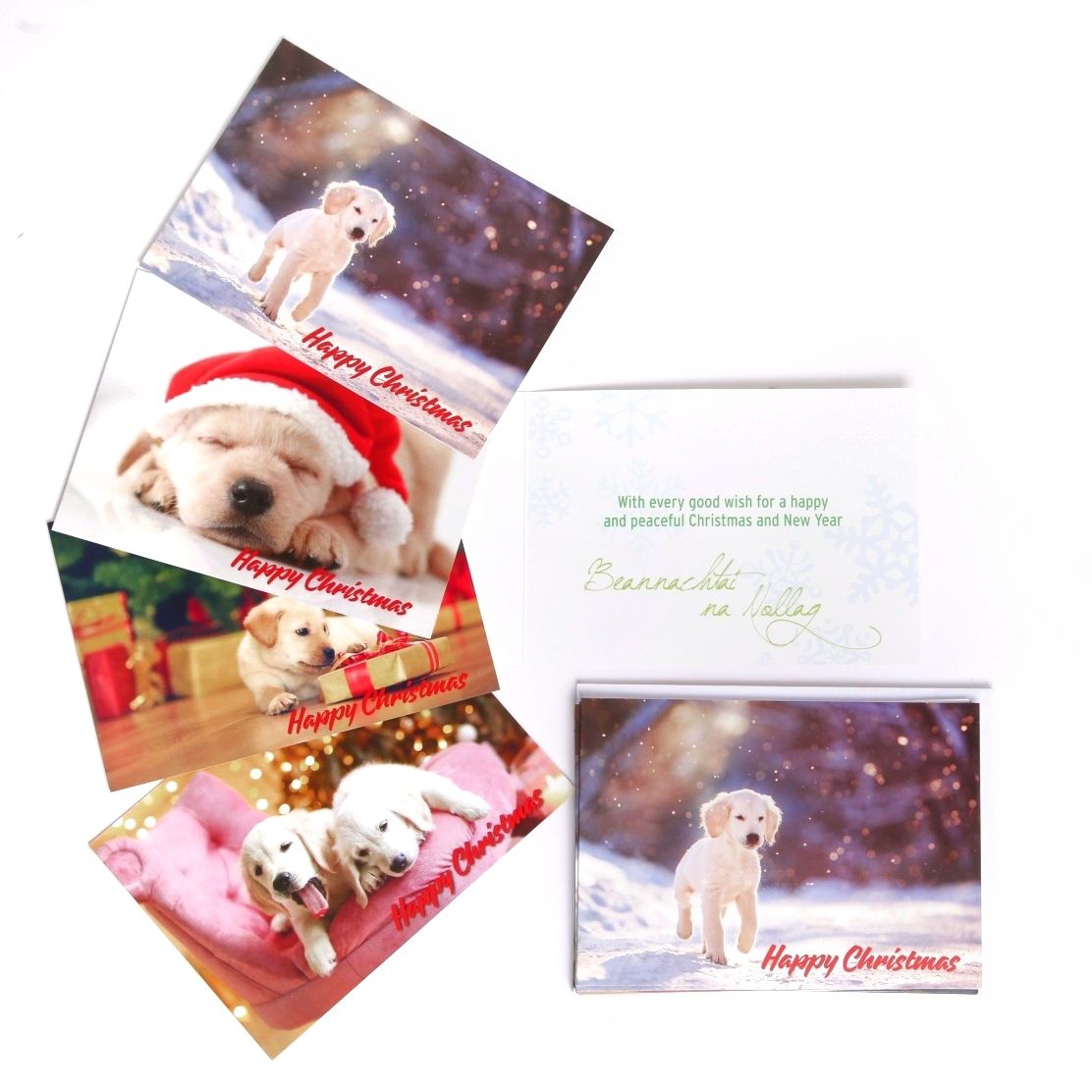 irish guide dogs shop