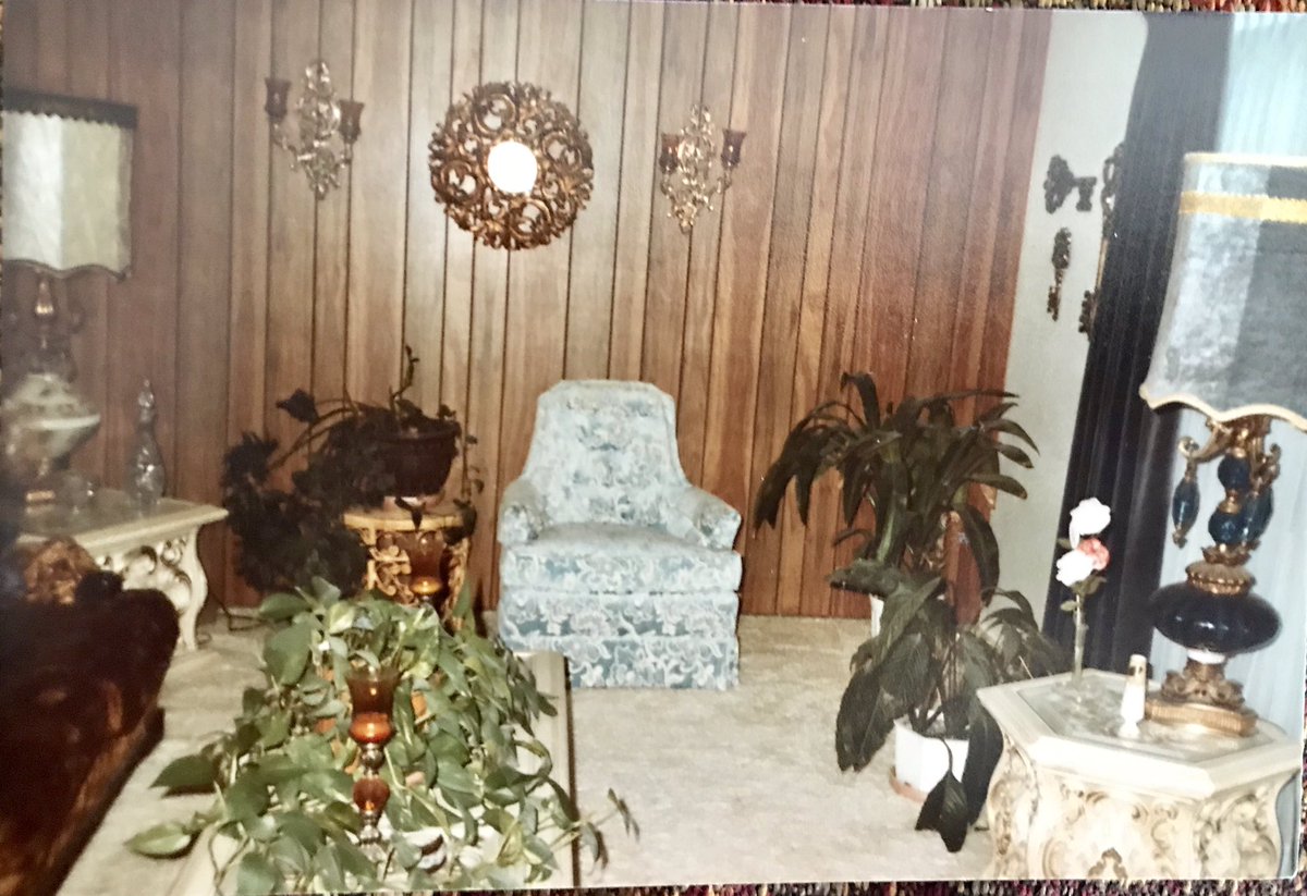 kmlivingston44's tweet photo. Had a living room that we werenโt allowed in either. Not as fancy but white carpet, blue velvet drapes, green/gold velvet furniture @adamfgoldberg @goldilocks405 @TheGoldbergsABC #livingroomofflimits #amomthing #TheGoldbergs https://t.co/8kCr7YYFjm