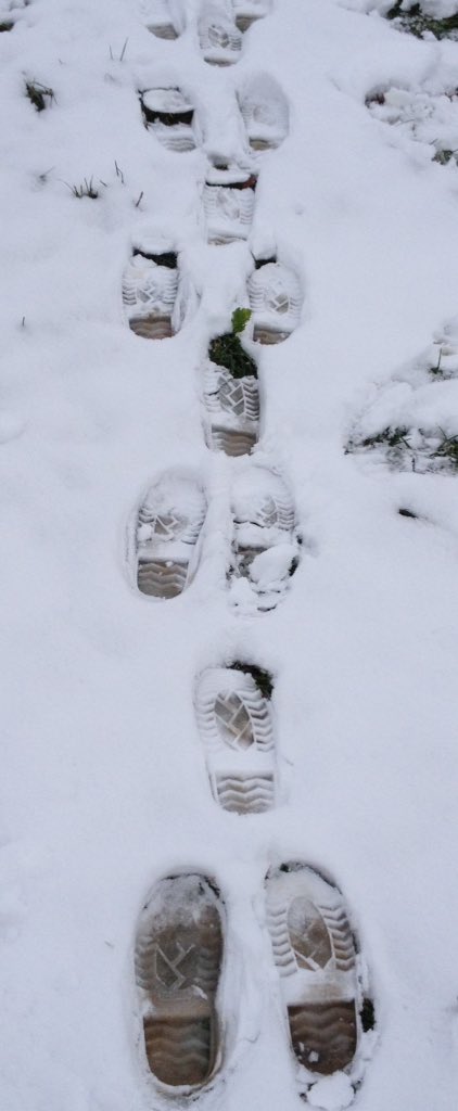 Rm111Gators's tweet photo. The Snowy Day was inspiration for our adventure to create patterns in the snow. We also worked on teamwork skills by making snowmen. https://t.co/u3LrG6ghUh