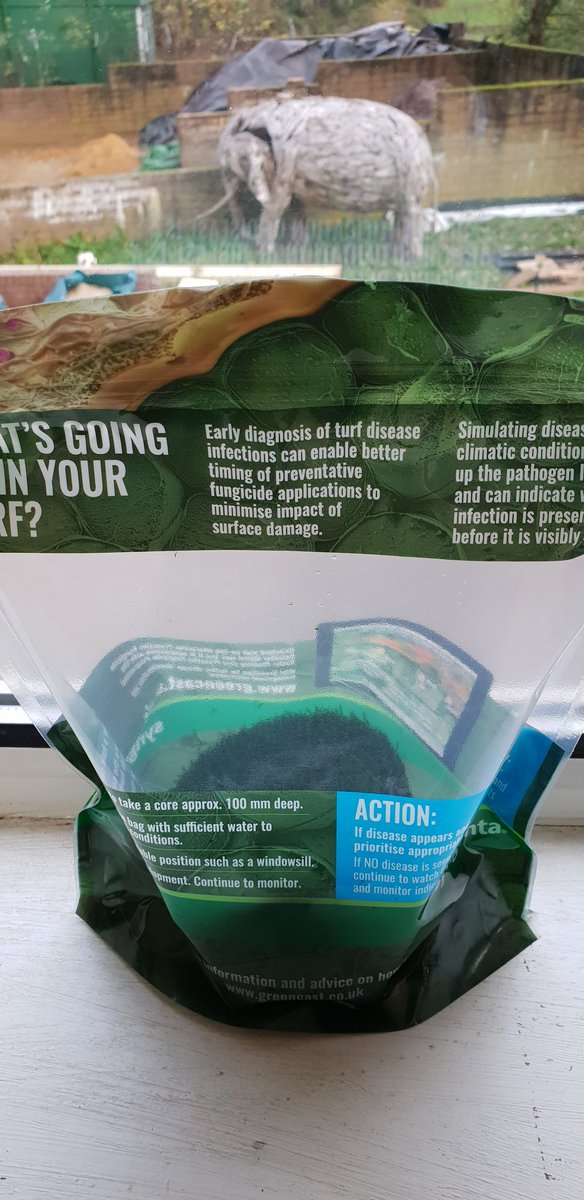 danharding7's tweet image. Lets see what we get on this plug tomorrow @SyngentaTurfUK #Turf #Greenkeeping #TurfDisease