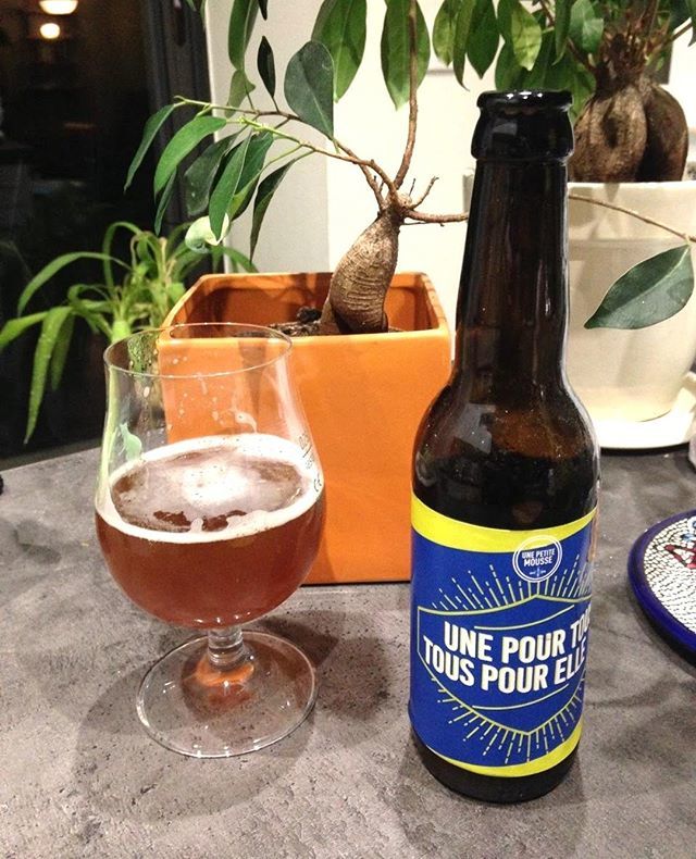 biere_maison's tweet photo. Une pour tous, tous pour elle ! Un petit goût d'houblon accompagné d'un peu d'agrume 🍻
#unepetitemousse #biere #beer #craftbeer #beerstagram #instabeer #biereartisanale #beergeek #beerlover #beers #beertime #bieres #brasserie #craft #houblon #beerl… https://t.co/mqDaGbOJkd https://t.co/KZtMAmnyWM