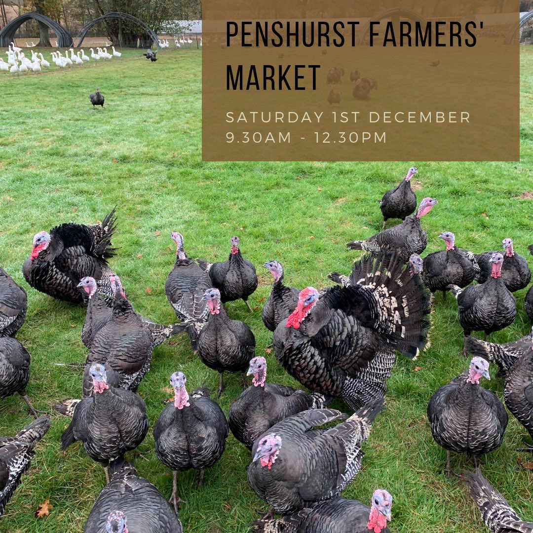KentTurkeys's tweet photo. Itโs our final market of the year this Saturday!
Weโre back at the lovely @PenshurstFmMrkt with tastings & turkey pies. Itโs also the #Penshurst #ChristmasMarket on the High street so a great weekend to visit & get all your #Christmasshopping done!
#kentturkeys https://t.co/TsI1jROiOW