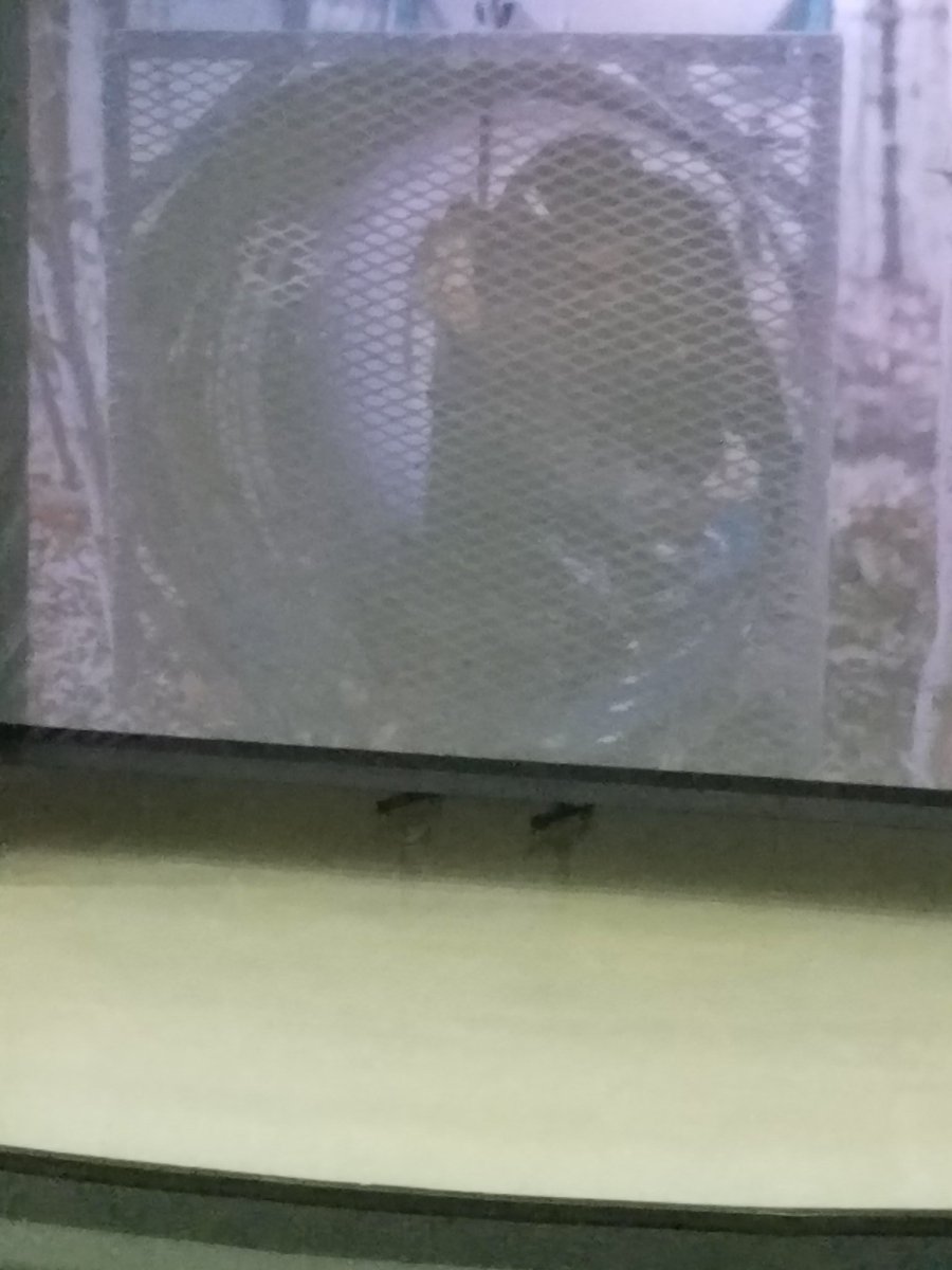 Vance Principal tweet media