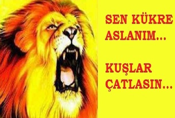 ba_adli's tweet photo. #TakibeTakip #UnfollowaUnfollowVeEngel SOSYAL MEDYADA GUCLU BIR TARAFTAR TOPLULUGU GUCLU BIR #GALATASARAYDIR🇹🇷🧡❤️ https://t.co/DGNXoQpdqV