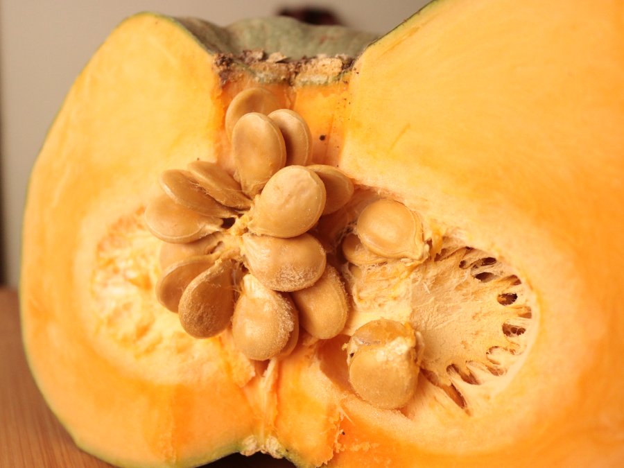 huertadeamparo's tweet photo. Hoy enviamos nuestra crema de Calabaza eco y jengibre ... 🚛🛴🚲 pronto en las casas con #ecoencasa https://t.co/n0mrdy4O6P https://t.co/f5wDY6O6ZA